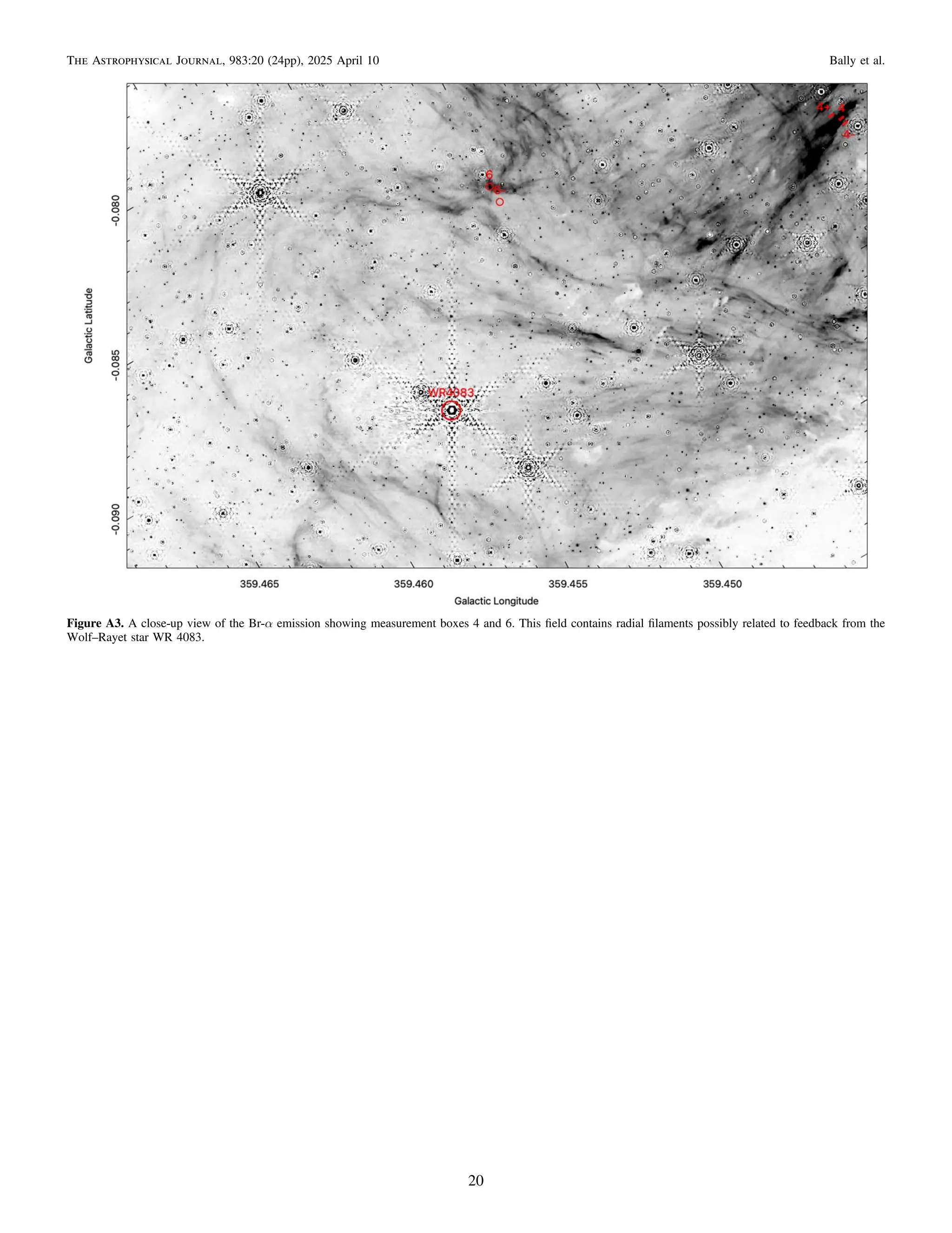 Figure A3. A close-up view of the Br-α emission showing measurement boxes 4 and 6. This ﬁeld contains radial ﬁlaments possibly related to feedback from the
Wolf–Rayet star WR 4083.
20
The Astrophysical Journal, 983:20 (24pp), 2025 April 10 Bally et al.
 