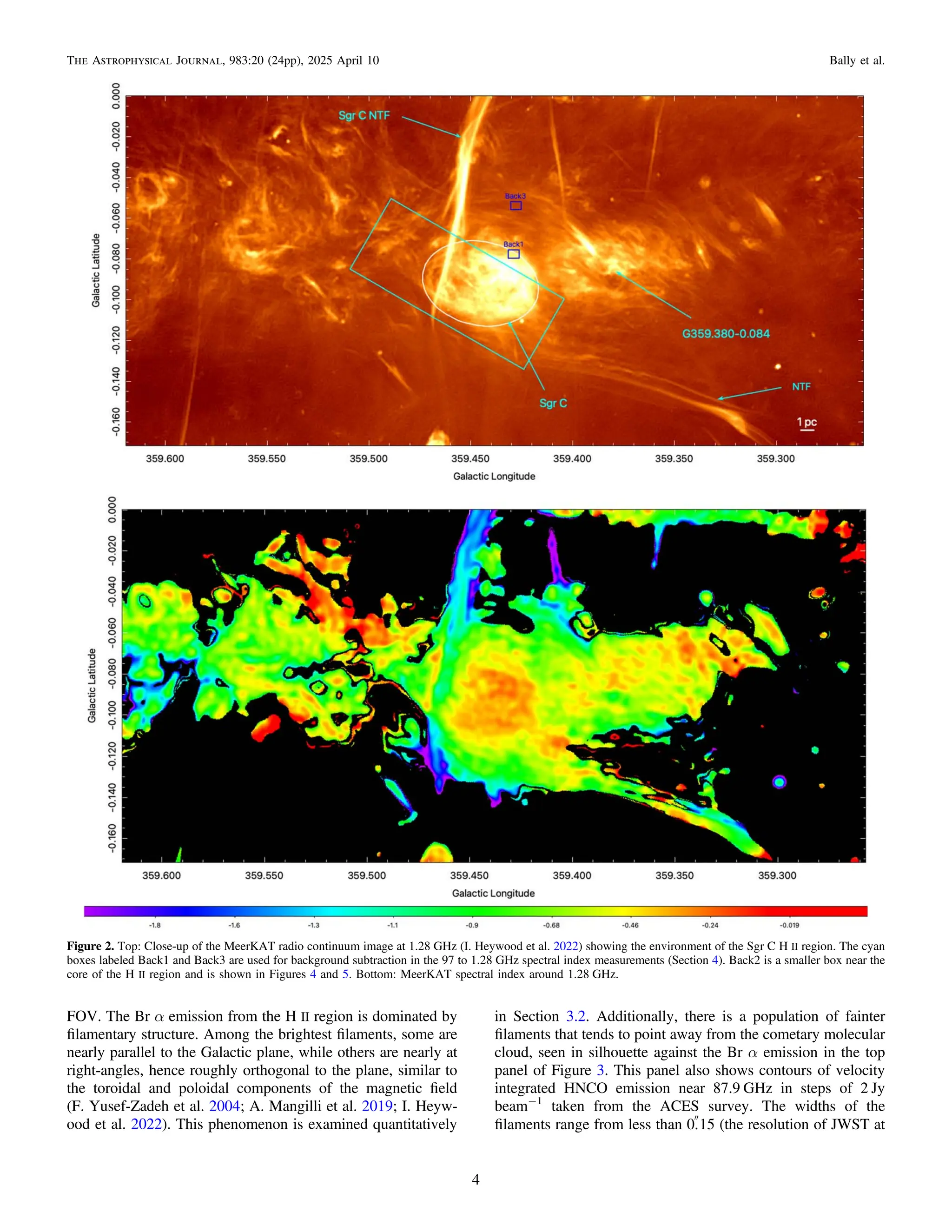 FOV. The Br α emission from the H II region is dominated by
ﬁlamentary structure. Among the brightest ﬁlaments, some are
nearly parallel to the Galactic plane, while others are nearly at
right-angles, hence roughly orthogonal to the plane, similar to
the toroidal and poloidal components of the magnetic ﬁeld
(F. Yusef-Zadeh et al. 2004; A. Mangilli et al. 2019; I. Heyw-
ood et al. 2022). This phenomenon is examined quantitatively
in Section 3.2. Additionally, there is a population of fainter
ﬁlaments that tends to point away from the cometary molecular
cloud, seen in silhouette against the Br α emission in the top
panel of Figure 3. This panel also shows contours of velocity
integrated HNCO emission near 87.9 GHz in steps of 2 Jy
beam−1
taken from the ACES survey. The widths of the
ﬁlaments range from less than 0
.15 (the resolution of JWST at
Figure 2. Top: Close-up of the MeerKAT radio continuum image at 1.28 GHz (I. Heywood et al. 2022) showing the environment of the Sgr C H II region. The cyan
boxes labeled Back1 and Back3 are used for background subtraction in the 97 to 1.28 GHz spectral index measurements (Section 4). Back2 is a smaller box near the
core of the H II region and is shown in Figures 4 and 5. Bottom: MeerKAT spectral index around 1.28 GHz.
4
The Astrophysical Journal, 983:20 (24pp), 2025 April 10 Bally et al.
 