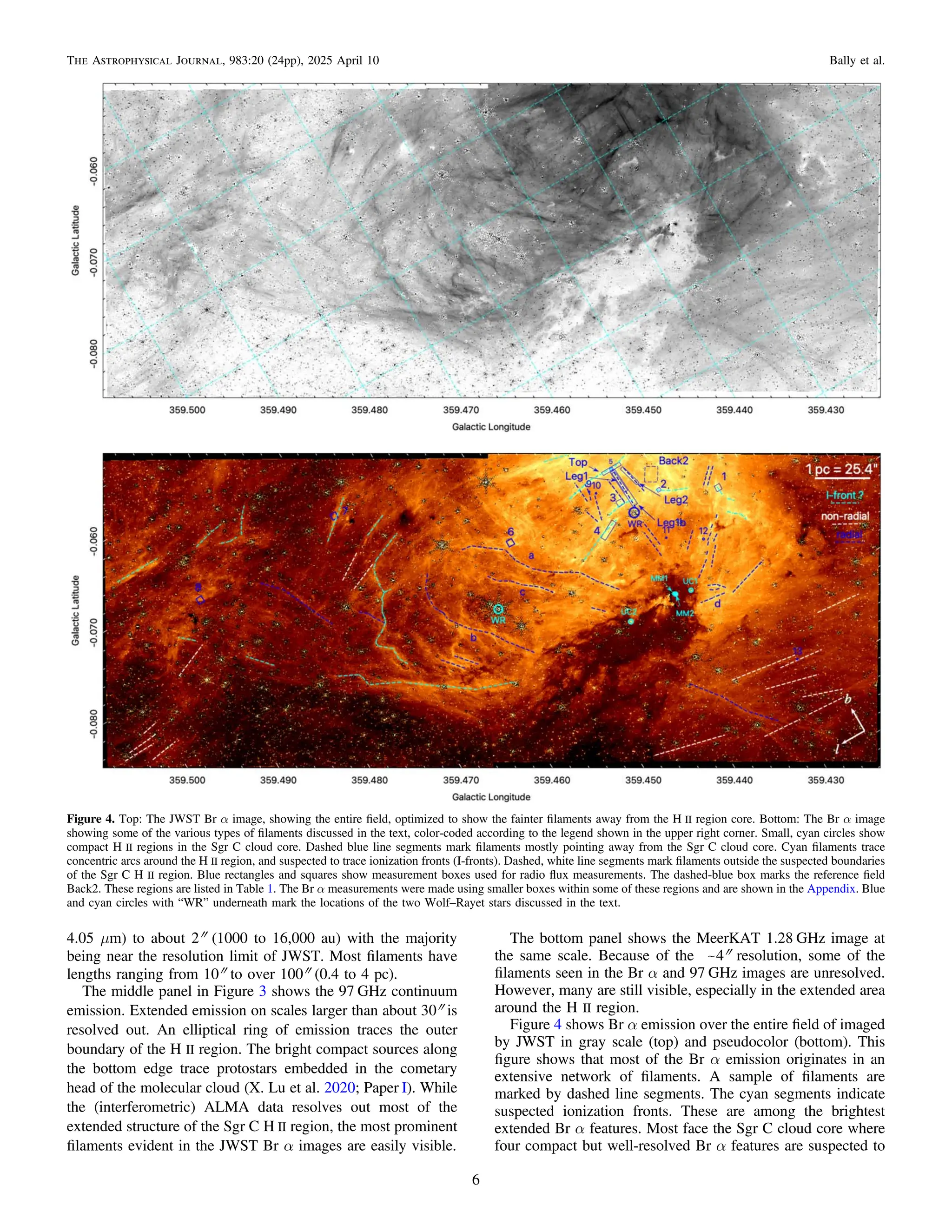 4.05 μm) to about 2″ (1000 to 16,000 au) with the majority
being near the resolution limit of JWST. Most ﬁlaments have
lengths ranging from 10″ to over 100″ (0.4 to 4 pc).
The middle panel in Figure 3 shows the 97 GHz continuum
emission. Extended emission on scales larger than about 30″ is
resolved out. An elliptical ring of emission traces the outer
boundary of the H II region. The bright compact sources along
the bottom edge trace protostars embedded in the cometary
head of the molecular cloud (X. Lu et al. 2020; Paper I). While
the (interferometric) ALMA data resolves out most of the
extended structure of the Sgr C H II region, the most prominent
ﬁlaments evident in the JWST Br α images are easily visible.
The bottom panel shows the MeerKAT 1.28 GHz image at
the same scale. Because of the ~4″ resolution, some of the
ﬁlaments seen in the Br α and 97 GHz images are unresolved.
However, many are still visible, especially in the extended area
around the H II region.
Figure 4 shows Br α emission over the entire ﬁeld of imaged
by JWST in gray scale (top) and pseudocolor (bottom). This
ﬁgure shows that most of the Br α emission originates in an
extensive network of ﬁlaments. A sample of ﬁlaments are
marked by dashed line segments. The cyan segments indicate
suspected ionization fronts. These are among the brightest
extended Br α features. Most face the Sgr C cloud core where
four compact but well-resolved Br α features are suspected to
Figure 4. Top: The JWST Br α image, showing the entire ﬁeld, optimized to show the fainter ﬁlaments away from the H II region core. Bottom: The Br α image
showing some of the various types of ﬁlaments discussed in the text, color-coded according to the legend shown in the upper right corner. Small, cyan circles show
compact H II regions in the Sgr C cloud core. Dashed blue line segments mark ﬁlaments mostly pointing away from the Sgr C cloud core. Cyan ﬁlaments trace
concentric arcs around the H II region, and suspected to trace ionization fronts (I-fronts). Dashed, white line segments mark ﬁlaments outside the suspected boundaries
of the Sgr C H II region. Blue rectangles and squares show measurement boxes used for radio ﬂux measurements. The dashed-blue box marks the reference ﬁeld
Back2. These regions are listed in Table 1. The Br α measurements were made using smaller boxes within some of these regions and are shown in the Appendix. Blue
and cyan circles with “WR” underneath mark the locations of the two Wolf–Rayet stars discussed in the text.
6
The Astrophysical Journal, 983:20 (24pp), 2025 April 10 Bally et al.
 