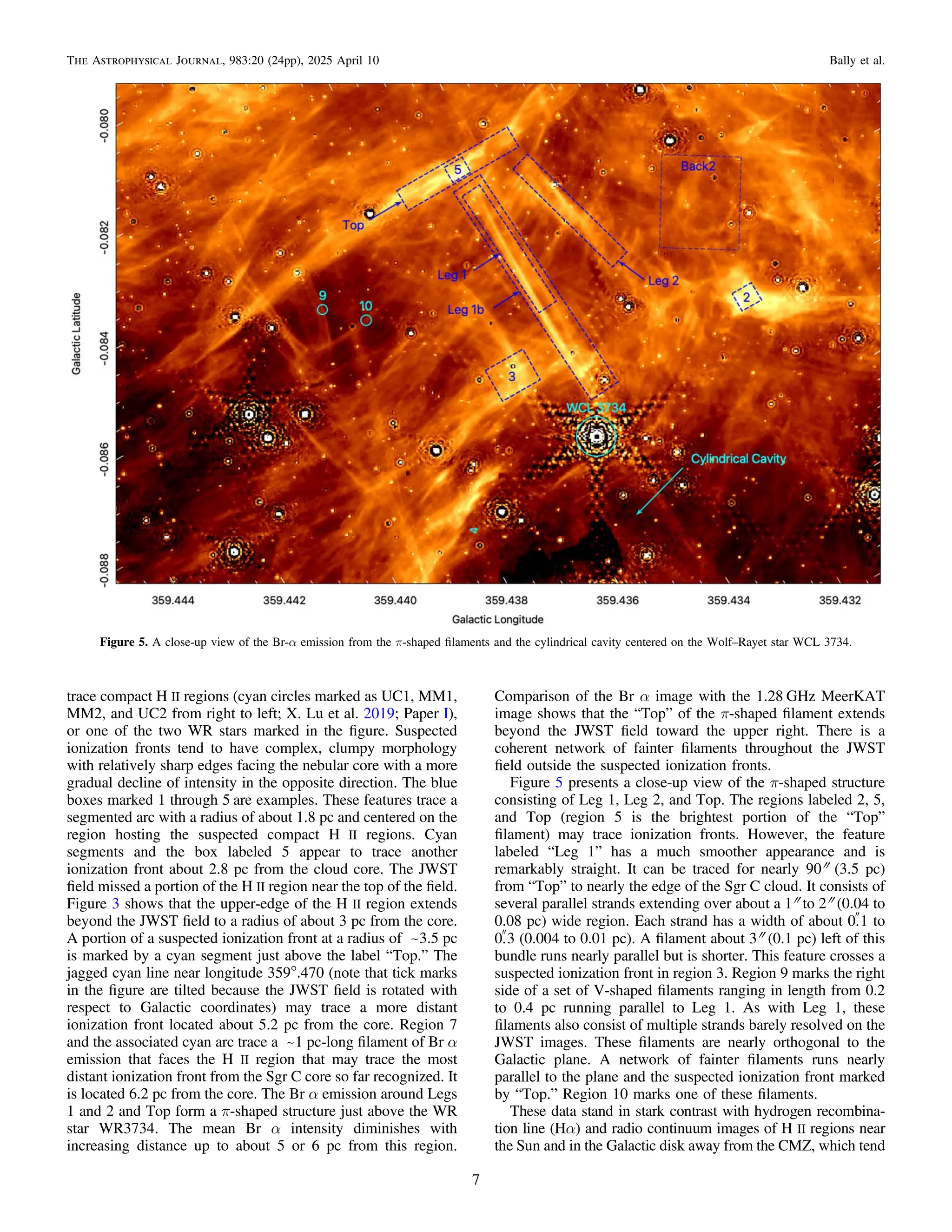 trace compact H II regions (cyan circles marked as UC1, MM1,
MM2, and UC2 from right to left; X. Lu et al. 2019; Paper I),
or one of the two WR stars marked in the ﬁgure. Suspected
ionization fronts tend to have complex, clumpy morphology
with relatively sharp edges facing the nebular core with a more
gradual decline of intensity in the opposite direction. The blue
boxes marked 1 through 5 are examples. These features trace a
segmented arc with a radius of about 1.8 pc and centered on the
region hosting the suspected compact H II regions. Cyan
segments and the box labeled 5 appear to trace another
ionization front about 2.8 pc from the cloud core. The JWST
ﬁeld missed a portion of the H II region near the top of the ﬁeld.
Figure 3 shows that the upper-edge of the H II region extends
beyond the JWST ﬁeld to a radius of about 3 pc from the core.
A portion of a suspected ionization front at a radius of ~3.5 pc
is marked by a cyan segment just above the label “Top.” The
jagged cyan line near longitude 359°.470 (note that tick marks
in the ﬁgure are tilted because the JWST ﬁeld is rotated with
respect to Galactic coordinates) may trace a more distant
ionization front located about 5.2 pc from the core. Region 7
and the associated cyan arc trace a ~1 pc-long ﬁlament of Br α
emission that faces the H II region that may trace the most
distant ionization front from the Sgr C core so far recognized. It
is located 6.2 pc from the core. The Br α emission around Legs
1 and 2 and Top form a π-shaped structure just above the WR
star WR3734. The mean Br α intensity diminishes with
increasing distance up to about 5 or 6 pc from this region.
Comparison of the Br α image with the 1.28 GHz MeerKAT
image shows that the “Top” of the π-shaped ﬁlament extends
beyond the JWST ﬁeld toward the upper right. There is a
coherent network of fainter ﬁlaments throughout the JWST
ﬁeld outside the suspected ionization fronts.
Figure 5 presents a close-up view of the π-shaped structure
consisting of Leg 1, Leg 2, and Top. The regions labeled 2, 5,
and Top (region 5 is the brightest portion of the “Top”
ﬁlament) may trace ionization fronts. However, the feature
labeled “Leg 1” has a much smoother appearance and is
remarkably straight. It can be traced for nearly 90″ (3.5 pc)
from “Top” to nearly the edge of the Sgr C cloud. It consists of
several parallel strands extending over about a 1″ to 2″ (0.04 to
0.08 pc) wide region. Each strand has a width of about 0
.1 to
0
.3 (0.004 to 0.01 pc). A ﬁlament about 3″ (0.1 pc) left of this
bundle runs nearly parallel but is shorter. This feature crosses a
suspected ionization front in region 3. Region 9 marks the right
side of a set of V-shaped ﬁlaments ranging in length from 0.2
to 0.4 pc running parallel to Leg 1. As with Leg 1, these
ﬁlaments also consist of multiple strands barely resolved on the
JWST images. These ﬁlaments are nearly orthogonal to the
Galactic plane. A network of fainter ﬁlaments runs nearly
parallel to the plane and the suspected ionization front marked
by “Top.” Region 10 marks one of these ﬁlaments.
These data stand in stark contrast with hydrogen recombina-
tion line (Hα) and radio continuum images of H II regions near
the Sun and in the Galactic disk away from the CMZ, which tend
Figure 5. A close-up view of the Br-α emission from the π-shaped ﬁlaments and the cylindrical cavity centered on the Wolf–Rayet star WCL 3734.
7
The Astrophysical Journal, 983:20 (24pp), 2025 April 10 Bally et al.
 