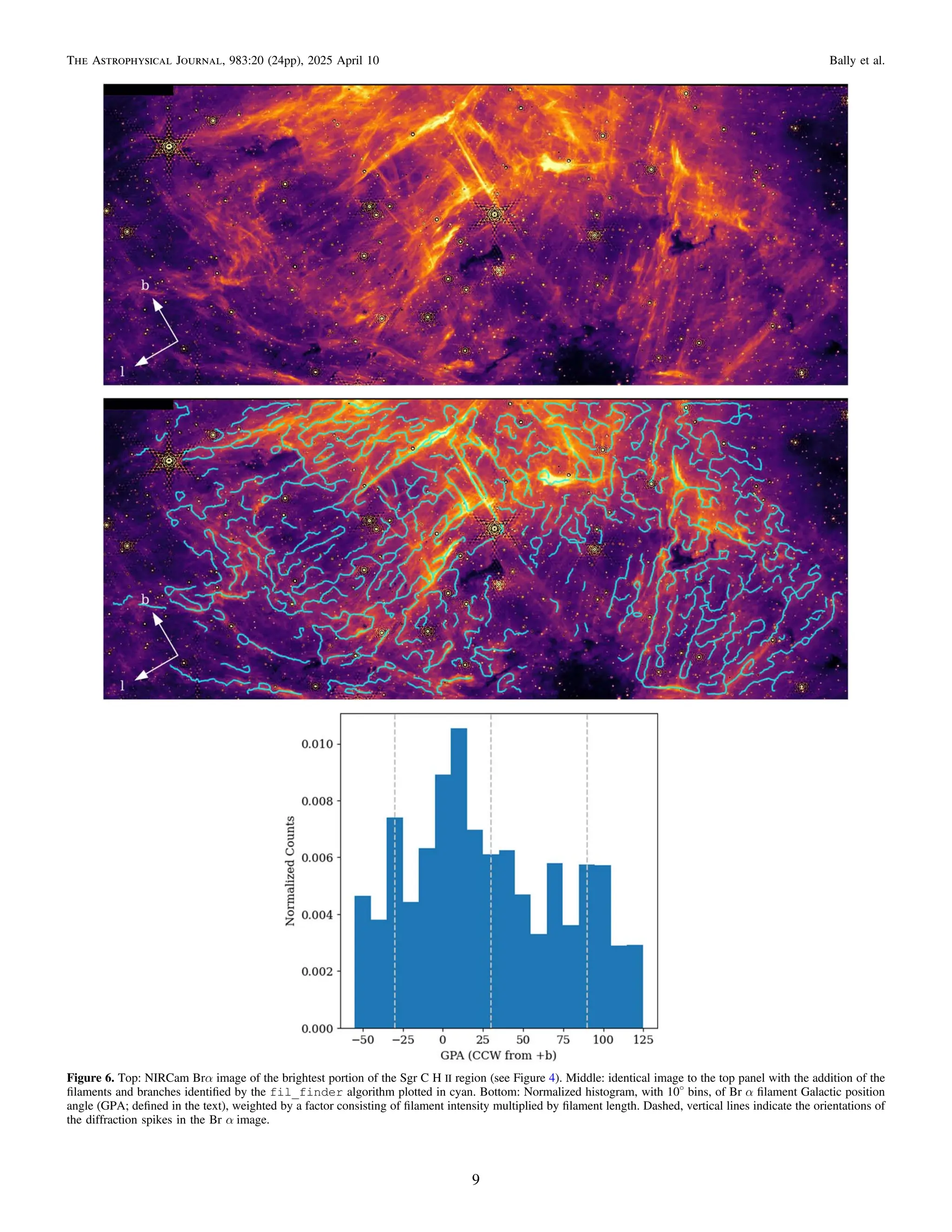Figure 6. Top: NIRCam Brα image of the brightest portion of the Sgr C H II region (see Figure 4). Middle: identical image to the top panel with the addition of the
ﬁlaments and branches identiﬁed by the fil_finder algorithm plotted in cyan. Bottom: Normalized histogram, with 10o
bins, of Br α ﬁlament Galactic position
angle (GPA; deﬁned in the text), weighted by a factor consisting of ﬁlament intensity multiplied by ﬁlament length. Dashed, vertical lines indicate the orientations of
the diffraction spikes in the Br α image.
9
The Astrophysical Journal, 983:20 (24pp), 2025 April 10 Bally et al.
 