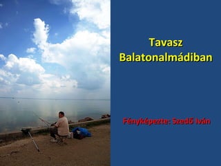 Tavasz Balatonalmádiban Fényképezte: Szedő Iván 