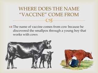 WHERE DOES THE NAME
“VACCINE” COME FROM



 The name of vaccine comes from cow because he
discovered the smallpox through a young boy that
works with cows

 