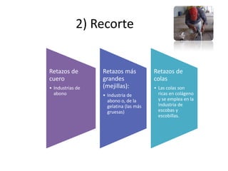 2) Recorte
Retazos de
cuero
• Industrias de
abono
Retazos más
grandes
(mejillas):
• Industria de
abono o, de la
gelatina (las más
gruesas)
Retazos de
colas
• Las colas son
ricas en colágeno
y se emplea en la
Industria de
escobas y
escobillas.
 