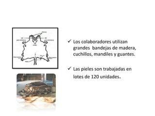  Los colaboradores utilizan
grandes bandejas de madera,
cuchillos, mandiles y guantes.
 Las pieles son trabajadas en
lotes de 120 unidades.
 