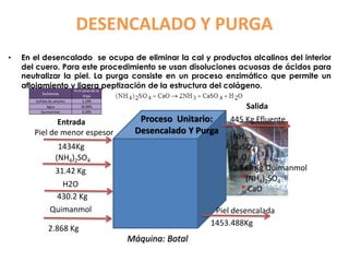 • En el desencalado se ocupa de eliminar la cal y productos alcalinos del interior
del cuero. Para este procedimiento se usan disoluciones acuosas de ácidos para
neutralizar la piel. La purga consiste en un proceso enzimático que permite un
aflojamiento y ligera peptización de la estructura del colágeno.
(NH4)2SO4
445 Kg Efluente
31.42 Kg
-NH3
-CaSO4
-H2O
-2.868 Kg Quimanmol
- *(NH4)2SO4
- * CaO
1453.488Kg
Proceso Unitario:
Desencalado Y Purga
Piel desencalada
Máquina: Botal
Entrada
Salida
H2O
430.2 Kg
Quimanmol
2.868 Kg
DESENCALADO Y PURGA
Piel de menor espesor
1434Kg
 