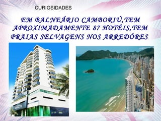 EM BALNEÁRIO CAMBORIÚ,TEM
APROXIMADAMENTE 87 HOTÉIS,TEM
PRAIAS SELVAGENS NOS ARREDÓRES
CURIOSIDADES
 