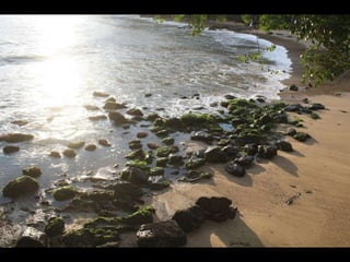 Balneario Camboriu Marco 2010