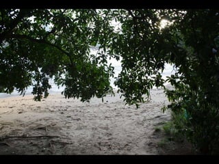 Balneario Camboriu Marco 2010