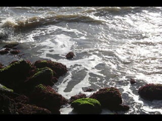 Balneario Camboriu Marco 2010