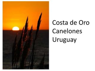 Costa de Oro
Canelones
Uruguay

 