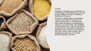 THUMO
Mongwadi o tšweletše ka go šomiša teori ya
narathologi go re hlathollela puku ya Lenong
la gauta. Magato ka moka a narratology a
tšweletše ka tshwanelo.
Mongwadi o atlegile gape ka go tšweletsa
morero wa padi. Morero ke gore ge o le
motho e ba le sephira, o se ke wa botša
batho ditaba tša gago go sa kgathale gore
motho yo o mo rata go fihla kae. Kgotlelelo
e tswala Katlego, ge o nyaka go dira dilo tše
di botse go ba o nyaka selo mo bophelong
itokišetše go leta, ka gore dilo tše dibotse di
tšea nako. Taba ye ngwe ye kgolo yeo e
tšwelelago ke gore le ge o ka e buela
leopeng magokobu a go bona.
 