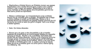 • Maphodisa a thibela Nnono go fihlelela morero wa gagwe.
Maphodisa a ile a botša Nnono gore a seke a be a tsena
morero o we o sego wa gagwe. Maphodisa a be a fela a
bona mehlala ya Nnono ge ba dira dinyakišišo gomme ba
fela bamo phara ka diphotšišo.
• Maisa a sefatanaga sa mmasebotsana a be a thibela
Nnono ka go mmotša gore a tlogele dinyakišišo tše a bego
a didira mabapi le polao ya Mmatšhego. Maisa a ile a
tsenela Nnono ka motseng wa gagwe bošego gomme ba mo
tia ba be ba mofa le taelo ya gore a tlogele seo a se dirago
a šetše kgwebo.
• Selo: Go hloka dikarabo
• Nnono ge a le gare a dira dinyakišišo o ile a hwetša
letlakala ka phaphošing ya mohumagadi Maleka le ngwadile
Lenong la Gauta . Nnono o ile a iphotšiša diphotšišo tše
dintšhi tša go hloka dikarobo. Nnono o ile a gonona Sima ka
morago ga go mmona a le ka phaphošing ya Mmatšhego
mohlang o ba go robala ba ka babedi. Nono o ile a tia Sima
go fihlela a mmotša gore o be a nyaka Lenong la Gauta
efela ga se ke a kwišiša gore na Sima yena o tsena bjang
mo ditabeng tše.
 