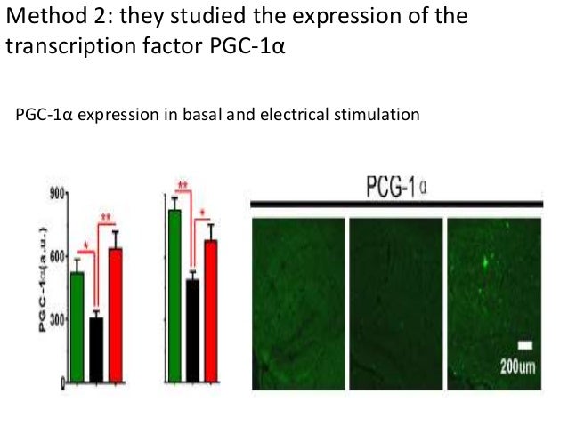 Elevation of Brain Magnesium Prevents and Reverses ...