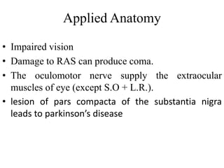 Applied Anatomy
• Impaired vision
• Damage to RAS can produce coma.
• The oculomotor nerve supply the extraocular
muscles of eye (except S.O + L.R.).
• lesion of pars compacta of the substantia nigra
leads to parkinson’s disease
 