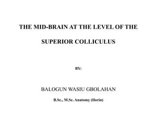 THE MID-BRAIN AT THE LEVEL OF THE
SUPERIOR COLLICULUS
BY:
BALOGUN WASIU GBOLAHAN
B.Sc., M.Sc. Anatomy (Ilorin)
 