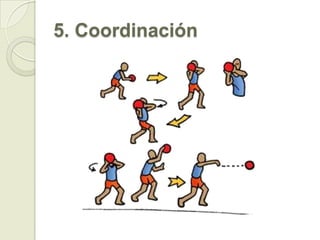 Capacidades FísicasCapacidades motrices: resistencia, fuerza, velocidad y flexibilidad.Capacidades perceptivo-motrices: coordinación y equilibrio.Capacidades resultantes:agilidad.