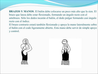 BRAZOS Y MANOS. El balón debe colocarse un poco más alto que la sien. El
brazo que lanza debe estar flexionado, formando un ángulo recto con el
antebrazo. Sólo los dedos tocarán el balón, el dedo pulgar formando casi ángulo
recto con el índice.
El brazo contrario estará también flexionado y apoya la mano lateralmente sobre
el balón con el codo ligeramente abierto. Esta mano debe servir de simple apoyo
y control.
 
