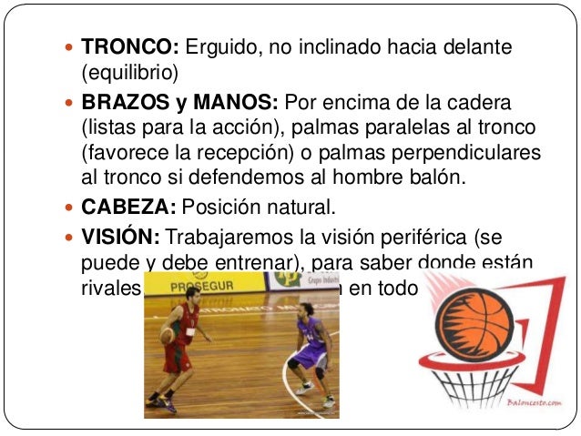 Baloncesto conceptos básicos