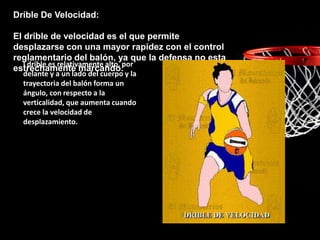 Drible De Velocidad:
El drible de velocidad es el que permite
desplazarse con una mayor rapidez con el control
reglamentario del balón, ya que la defensa no esta
estrechamente marcando.
l drible es relativamente alto, por
delante y a un lado del cuerpo y la
trayectoria del balón forma un
ángulo, con respecto a la
verticalidad, que aumenta cuando
crece la velocidad de
desplazamiento.
 