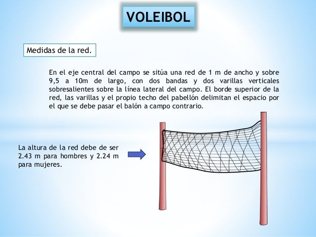 Baloncesto y voleibol
