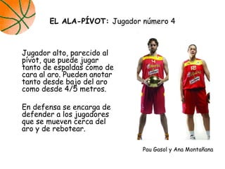 Jugador alto, parecido al
pívot, que puede jugar
tanto de espaldas como de
cara al aro. Pueden anotar
tanto desde bajo del aro
como desde 4/5 metros.
En defensa se encarga de
defender a los jugadores
que se mueven cerca del
aro y de rebotear.
EL ALA-PÍVOT: Jugador número 4
Pau Gasol y Ana Montañana
 