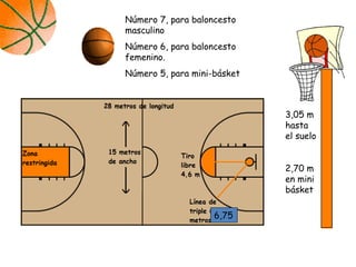 3,05 m
hasta
el suelo
2,70 m
en mini
básket
Número 7, para baloncesto
masculino
Número 6, para baloncesto
femenino.
Número 5, para mini-básket
6,75
 