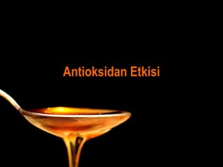Antioksidan Etkisi
 