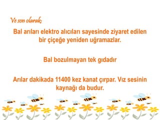 Ve son olarak;
 Bal arıları elektro alıcıları sayesinde ziyaret edilen
            bir çiçeğe yeniden uğramazlar.

                 Bal bozulmayan tek gıdadır

 Arılar dakikada 11400 kez kanat çırpar. Vız sesinin
                 kaynağı da budur.
 