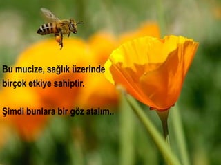 Bu mucize, sağlık üzerinde
birçok etkiye sahiptir.

Şimdi bunlara bir göz atalım..
 