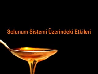 Solunum Sistemi Üzerindeki Etkileri
 