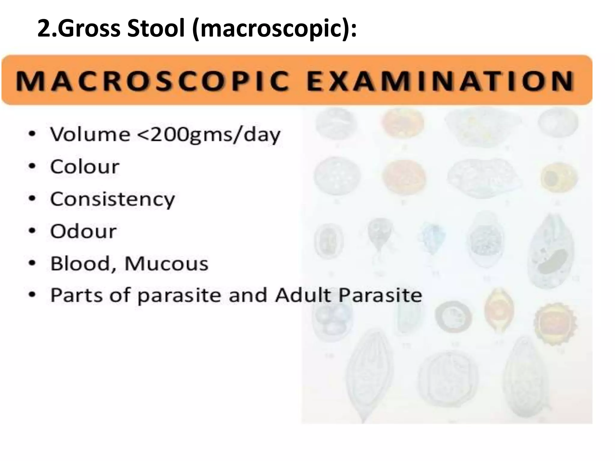 2.Gross Stool (macroscopic):
 