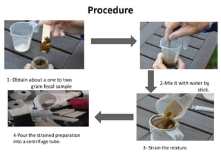 Procedure
4-Pour the strained preparation
into a centrifuge tube.
3- Strain the mixture
1- Obtain about a one to two
gram fecal sample
2-Mix it with water by
stick.
 