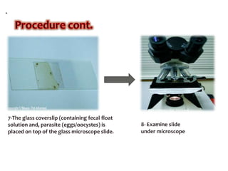 .
7-The glass coverslip (containing fecal float
solution and, parasite (eggs/oocystes) is
placed on top of the glass microscope slide.
8- Examine slide
under microscope
 