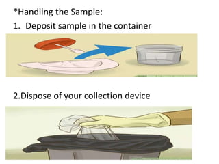 *Handling the Sample:
1. Deposit sample in the container
2.Dispose of your collection device
 
