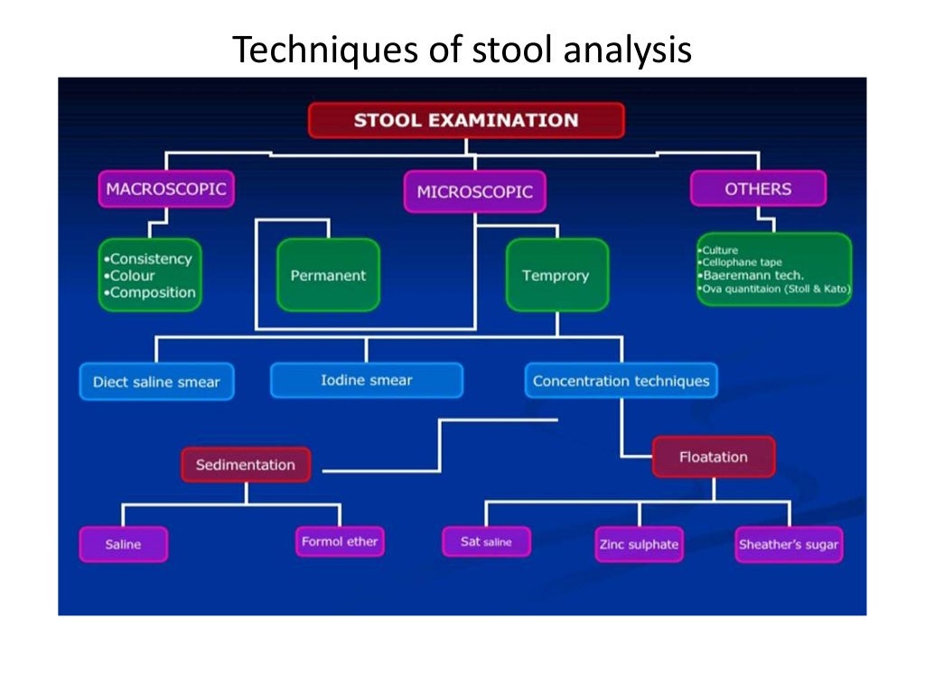 stool analysis