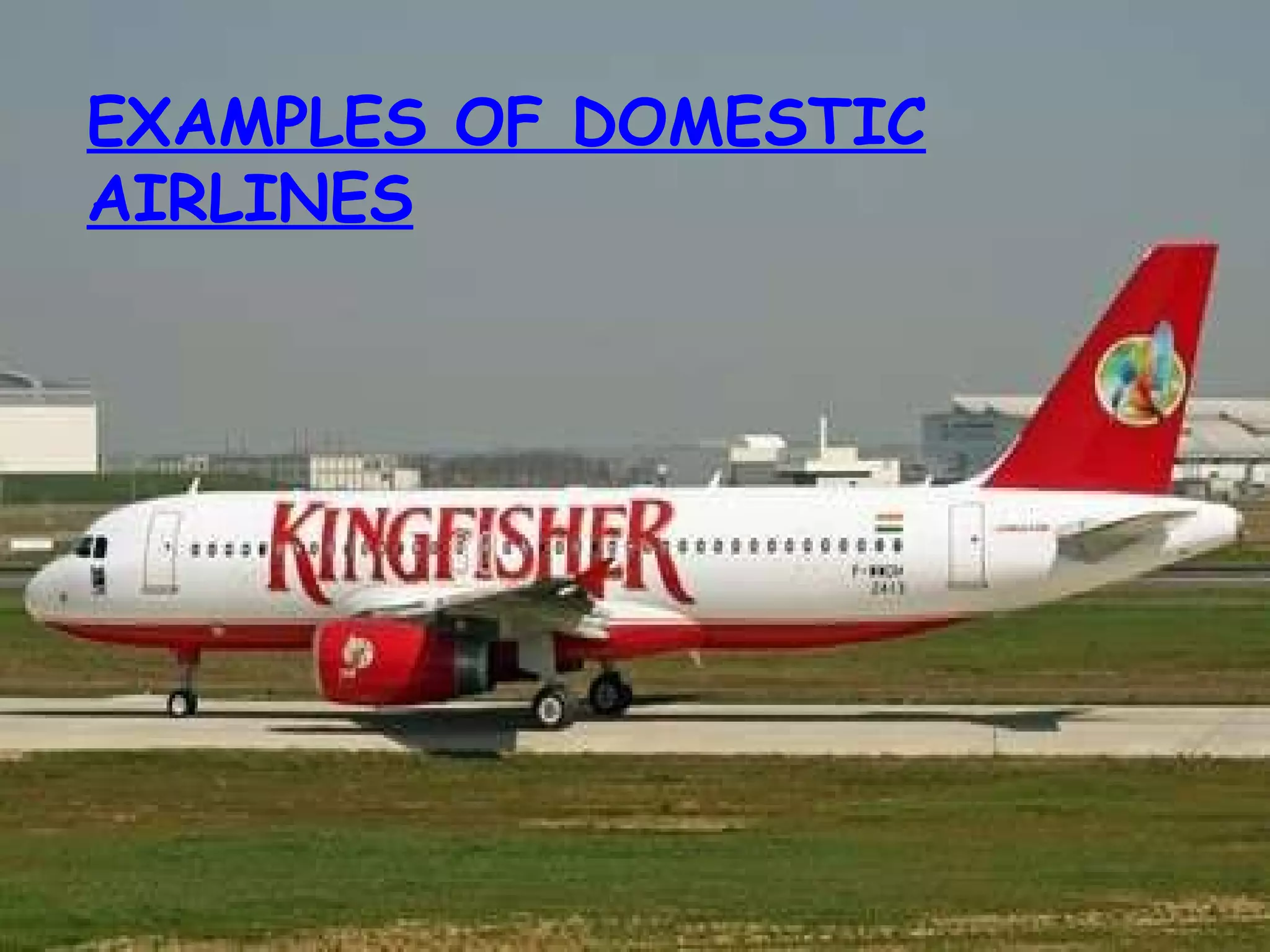 EXAMPLES OF DOMESTIC   AIRLINES 