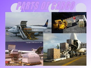 PARTS OF CARGO 