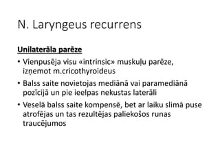 N. Laryngeus recurrens
Unilaterāla parēze
• Vienpusēja visu «intrinsic» muskuļu parēze,
izņemot m.cricothyroideus
• Balss saite novietojas mediānā vai paramediānā
pozīcijā un pie ieelpas nekustas laterāli
• Veselā balss saite kompensē, bet ar laiku slimā puse
atrofējas un tas rezultējas paliekošos runas
traucējumos
 