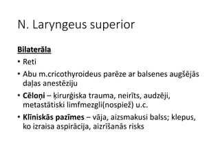 N. Laryngeus superior
Bilaterāla
• Reti
• Abu m.cricothyroideus parēze ar balsenes augšējās
daļas anestēziju
• Cēloņi – ķirurģiska trauma, neirīts, audzēji,
metastātiski limfmezgli(nospiež) u.c.
• Klīniskās pazīmes – vāja, aizsmakusi balss; klepus,
ko izraisa aspirācija, aizrīšanās risks
 