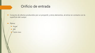 Orificio de entrada
 Conjunto de efectos producidos por un proyectil, y otros elementos, al entrar en contacto con la
superficie del cuerpo
 Planos
 Ropas
 Piel
 Tejido óseo
 