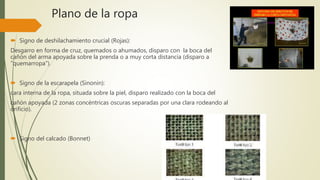 Plano de la ropa
 Signo de deshilachamiento crucial (Rojas):
Desgarro en forma de cruz, quemados o ahumados, disparo con la boca del
cañón del arma apoyada sobre la prenda o a muy corta distancia (disparo a
"quemarropa").
 Signo de la escarapela (Sinonin):
cara interna de la ropa, situada sobre la piel, disparo realizado con la boca del
cañón apoyada (2 zonas concéntricas oscuras separadas por una clara rodeando al
orificio).
 Signo del calcado (Bonnet)
 