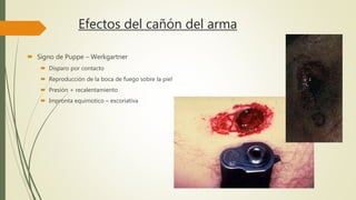 Efectos del cañón del arma
 Signo de Puppe – Werkgartner
 Disparo por contacto
 Reproducción de la boca de fuego sobre la piel
 Presión + recalentamiento
 Impronta equimotico – excoriativa
 