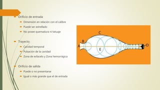  Orificio de entrada
 Dimensión en relación con el calibre
 Puede ser estrellado
 No posee quemadura ni tatuaje
 Trayecto
 Cavidad temporal
 Pulsación de la cavidad
 Zona de esfacelo y Zona hemorrágica
 Orificio de salida
 Puede o no presentarse
 Igual o más grande que el de entrada
 