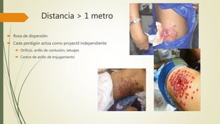 Distancia > 1 metro
 Rosa de dispersión
 Cada perdigón actúa como proyectil independiente
 Orificio, anillo de contusión, tatuajes
 Carece de anillo de enjugamiento
 