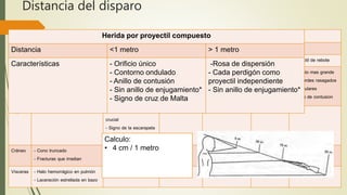 Distancia del disparo
 Herida por proyectil simple
 Herida por proyectil compuesto
HERIDA POR PROYECTIL SIMPLE
Planos Características generales Características especiales
Disparo de contacto Corta distancia Distancia intermedia Larga distancia Proyectil de rebote
Piel - Orificio
- Anillo de Fisch
- Impronta de boca de
fuego
- Orificio en boca de
mina
- Superposición de
tatuaje,
ahumamiento y
quemadura
- Quemadura
- Tatuaje
- Ahumamiento
- Orificio mas grande
con bordes rasagados
e irregulares
- Anillo de contusion
Ropas - Orificio - Deshilachamiento
crucial
- Signo de la escarapela
- Signo del calcado
Ahumamiento - Ahumamiento
Cráneo - Cono truncado
- Fracturas que irradian
- Ahumamiento
Vísceras - Halo hemorrágico en pulmón
- Laceración estrellada en bazo
Herida por proyectil compuesto
Distancia <1 metro > 1 metro
Características - Orificio único
- Contorno ondulado
- Anillo de contusión
- Sin anillo de enjugamiento*
- Signo de cruz de Malta
-Rosa de dispersión
- Cada perdigón como
proyectil independiente
- Sin anillo de enjugamiento*
Calculo:
• 4 cm / 1 metro
 