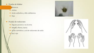  Prueba de Walker
 Distancia
 nitritos
 Acido sulfanilico y Alfa-naftilamina
 Rojo
 Prueba de rodizonato
 Alguien accionó o no el arma
 Metales (Plomo, bario)
 Acido clorhídrico y sol de rodizonato de sodio
 azul, rojo
 