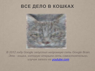 ВСЕ ДЕЛО В КОШКАХ
В 2012 году Google запустил нейронную сеть Google Brain.
Это - кошка, которую открыла сеть самостоятельно,
изучая записи на youtube.com
 