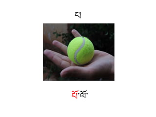 པ
པོ་ལོ་
 