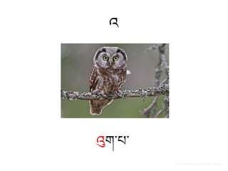 འ
འུག་པ་
Presented by Inamullah Yugovi
 